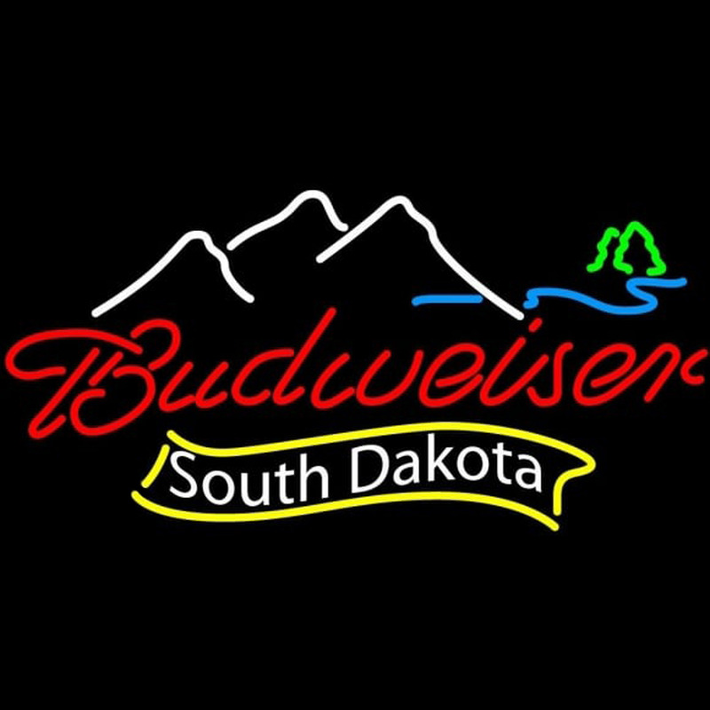 Budweiser South Dakota Beer Sign Enseigne Néon