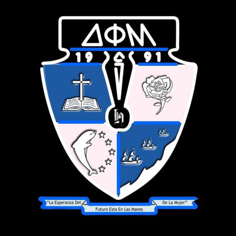 Delta Phi Mu Latina Greek Logo Enseigne Néon