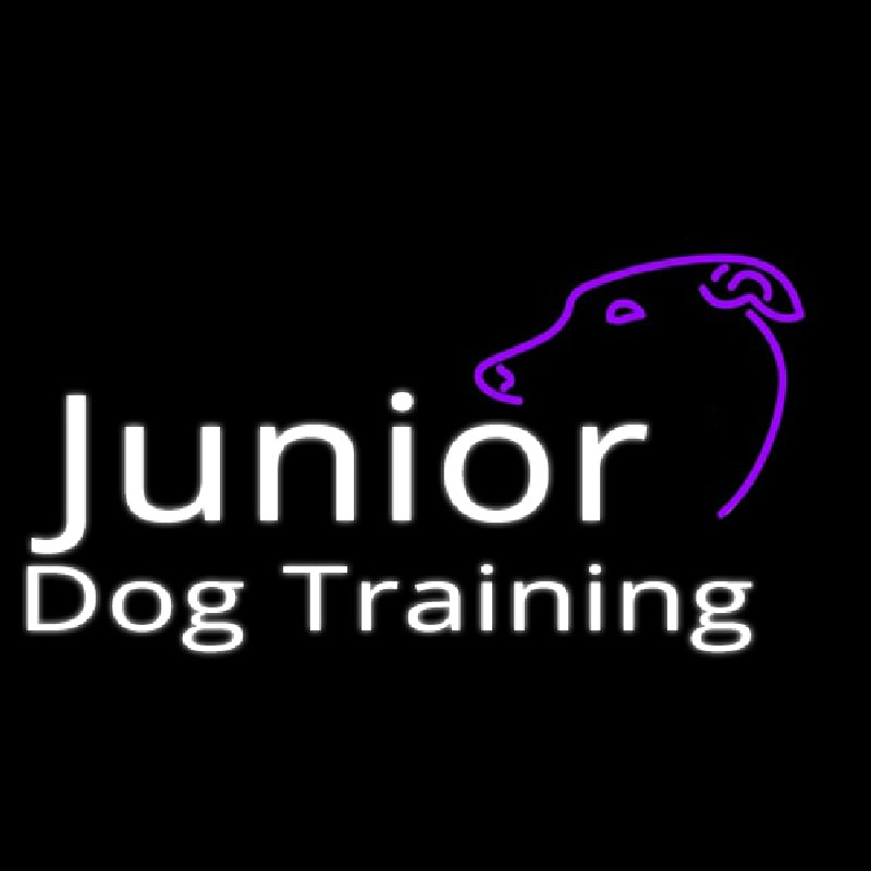 Junior Dog Training Logo Enseigne Néon