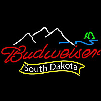 Budweiser South Dakota Beer Sign Enseigne Néon