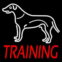 Dog Training Enseigne Néon