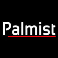 Palmist With Red Line Enseigne Néon