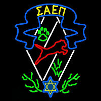 Sigma Alpha Epsilon Pi Logo Enseigne Néon