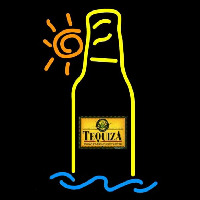 Tequiza Tropical Sun Bottle Beer Sign Enseigne Néon