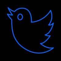 Twitter Bird Logo Enseigne Néon